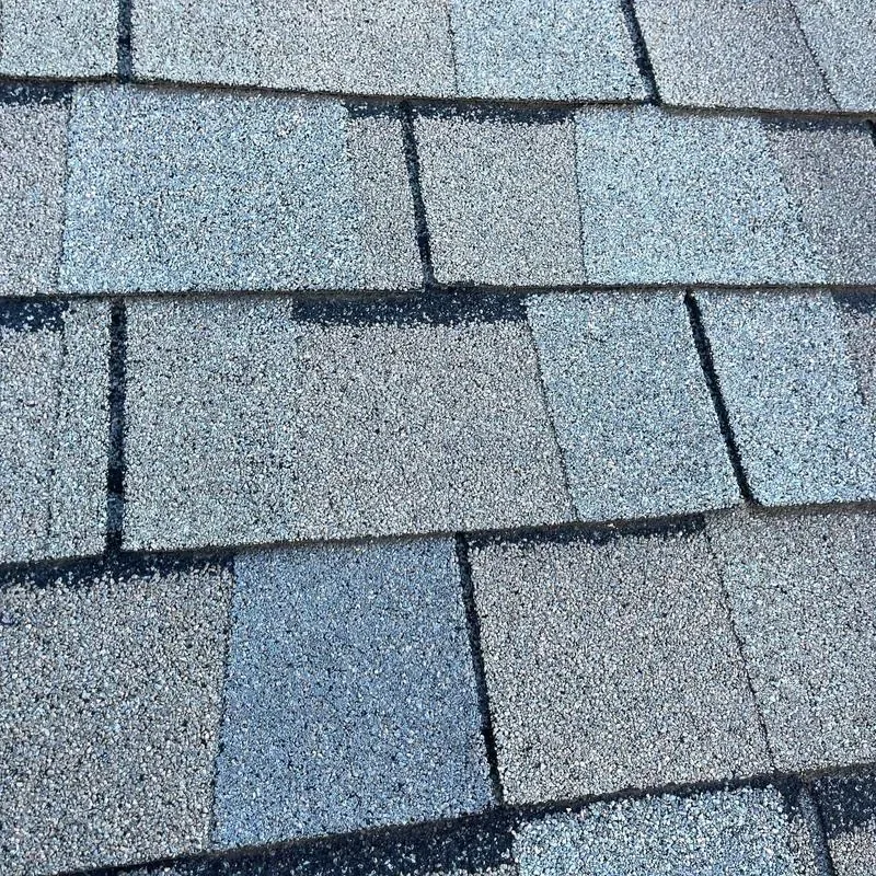 Close-up of gray-blue architectural shingles showing dimensional texture on a Carolina Trophy Roofs installation