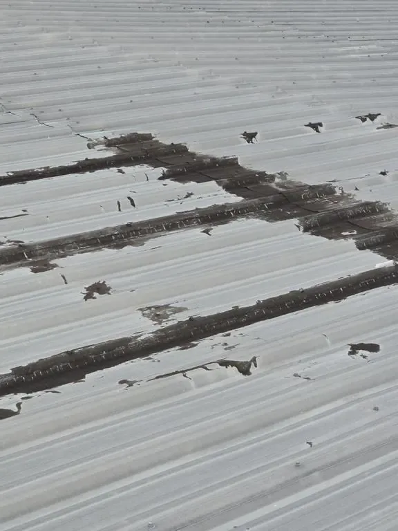 Rows of cracked, failing seam sealant across aged metal roof panels awaiting restoration
