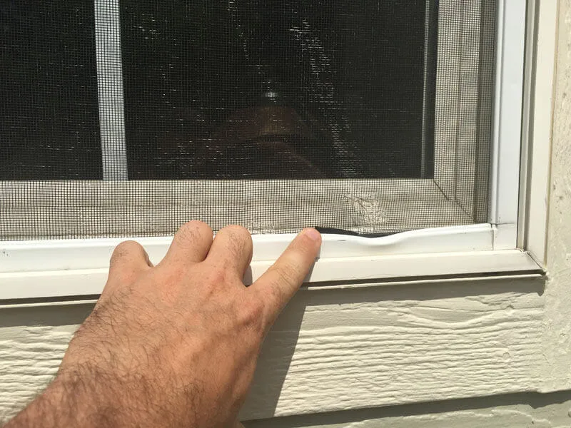 Hail Damaged Window