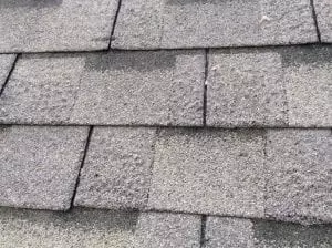 Shingle Blistering