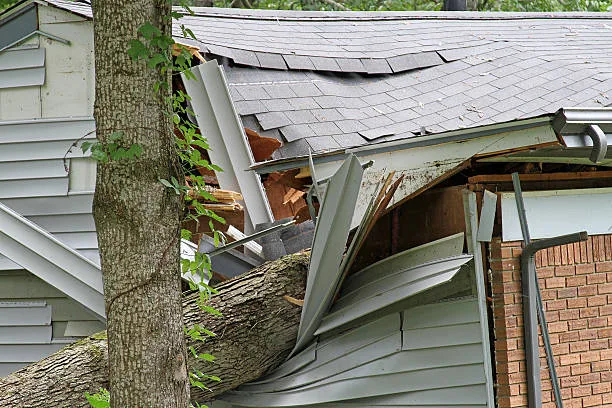 Storm Damaged Roof