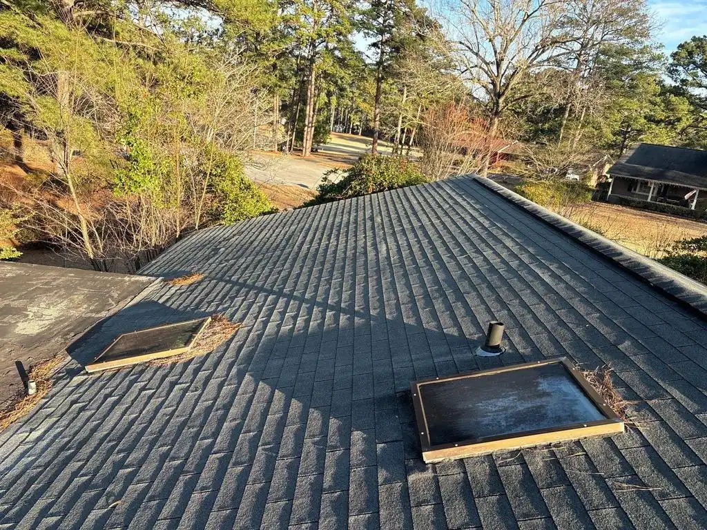 Old shingle roof with pine straw collected around two skylights on a New Bern, NC home, before replacement