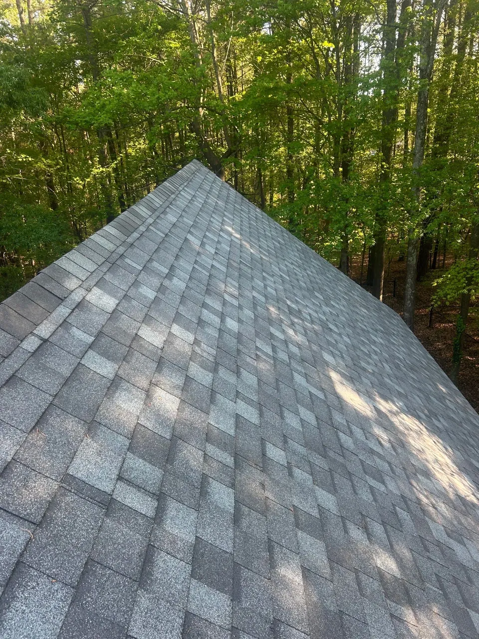 Long slope of new gray architectural shingles on a Wake Forest, NC home, surrounded by spring trees