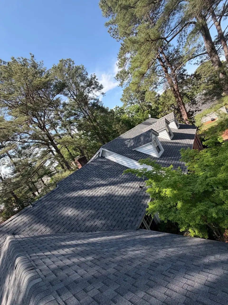 New dark gray architectural shingle roof with dormers under tall pine trees in Tarboro, NC