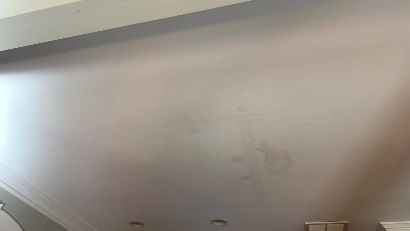 Interior ceiling of a room with crown moulding and recessed lights, showing an irregular brown water stain with smaller drip rings spreading across the painted drywall.
