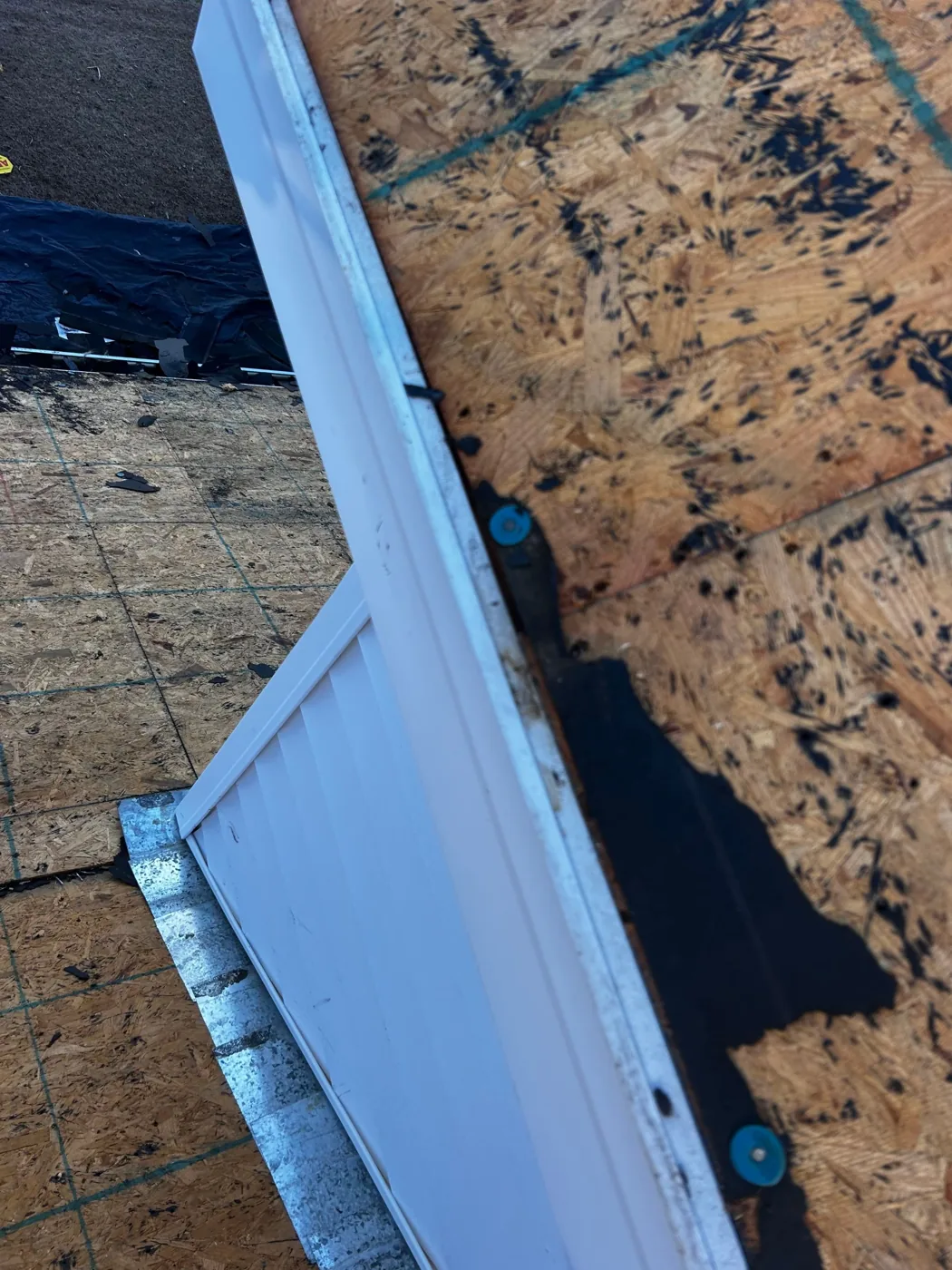 Roof stripped down to bare oriented strand board sheathing marked with chalk lines, with a white painted rake board along the edge, a dark self-adhered membrane strip at the eave and blue capped fasteners driven into the deck.