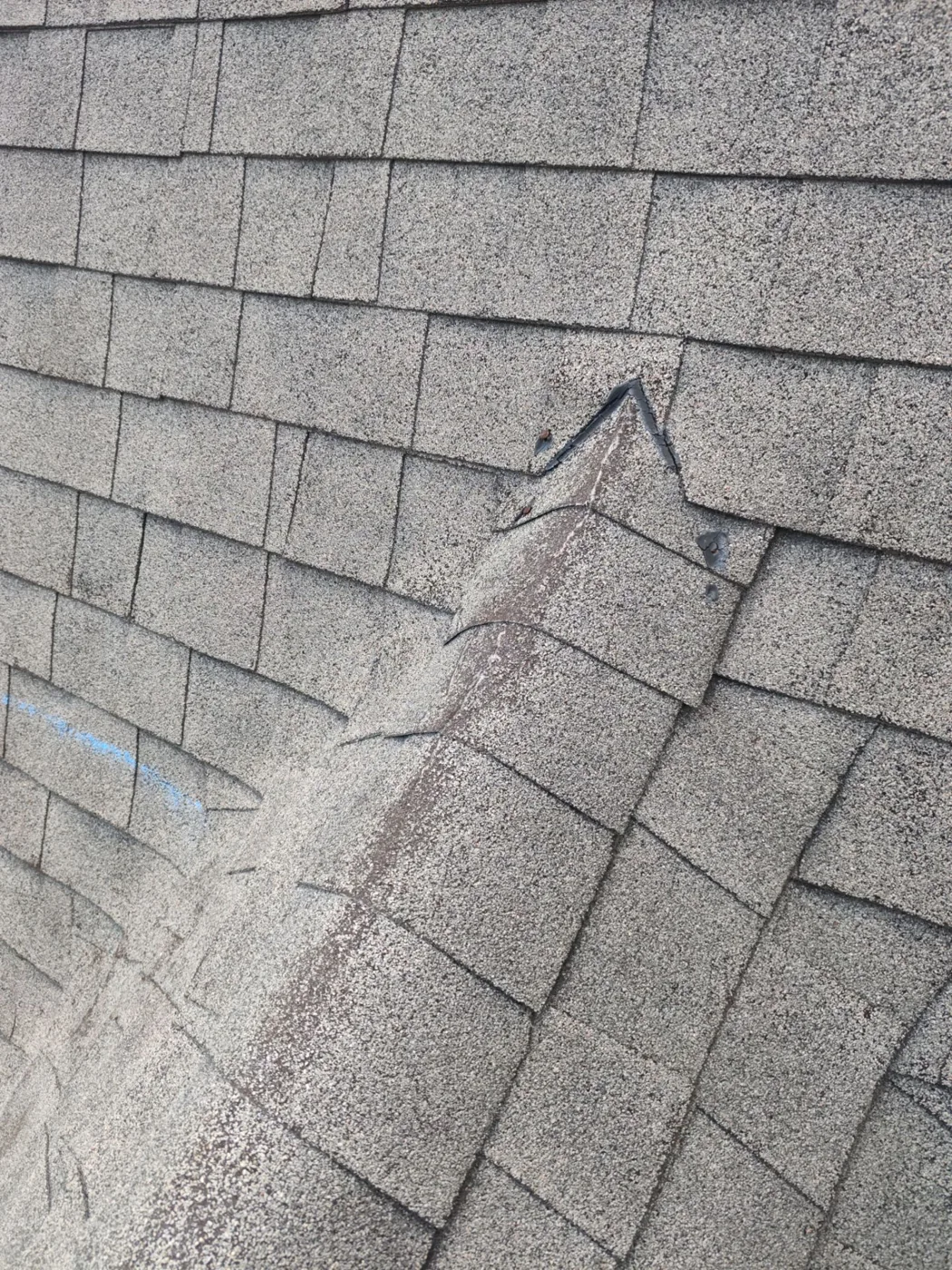 Close-up of a wind crease running diagonally through several courses of grey shingles on an Eastern NC roof, with the mat visibly broken along the fold line