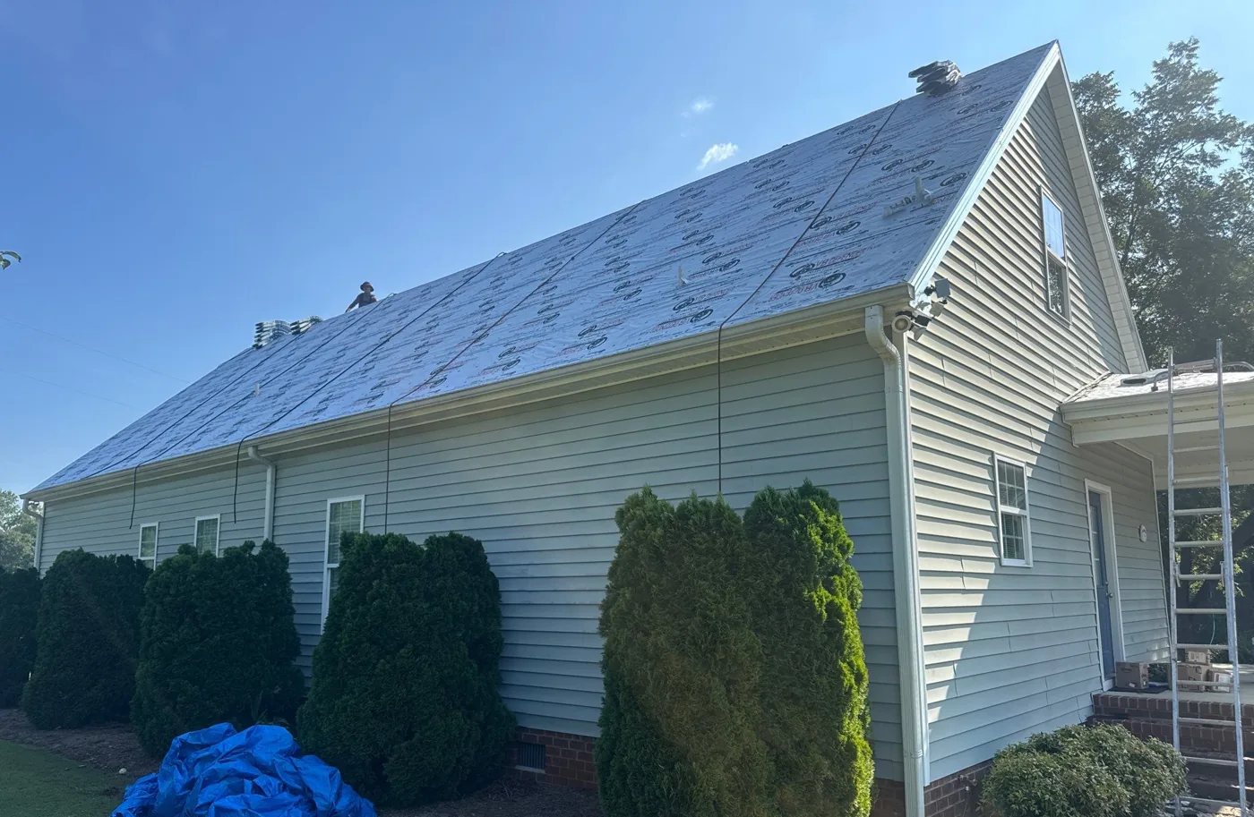 Gable end of the house with the full slope covered in synthetic underlayment, a crew member near the ridge, a ladder at the corner and blue tarps spread over the shrub beds along the foundation.