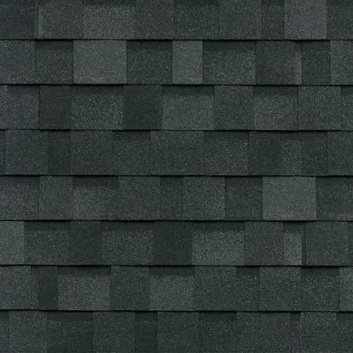 Granite Black swatch
