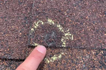 Close-up of granule loss and lichen on an asphalt shingle, a finger held alongside for scale